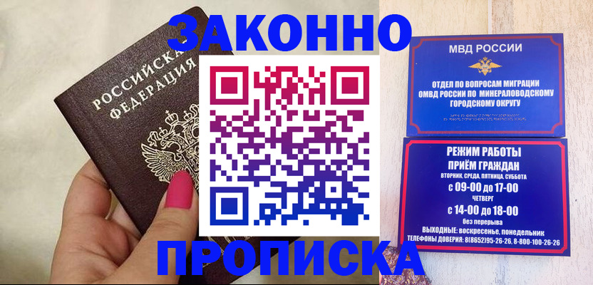 прописка для школы в Купино